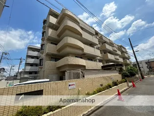 グローリア初穂大和の画像