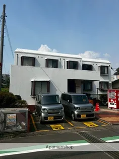 ハイツマイヤアタの画像