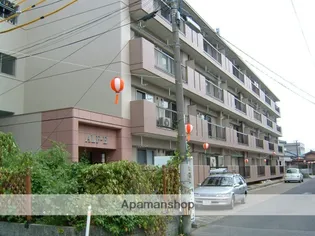 ALF−E【4階】の外観