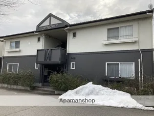 モンアミAの画像