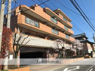 ダイアパレス鐙の画像