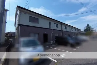 アスターアオキの画像