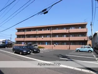 エムズリッシュの画像
