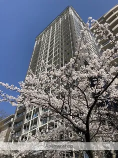 アデニウムタワー萬代橋の画像