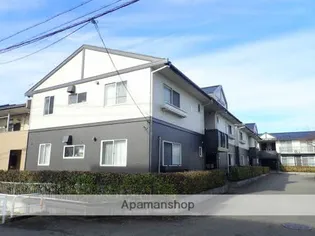 モンアミAの画像