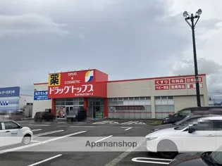 ロイヤルガーデン住吉【2階】の周辺