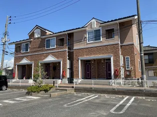 カメリアコートDの画像