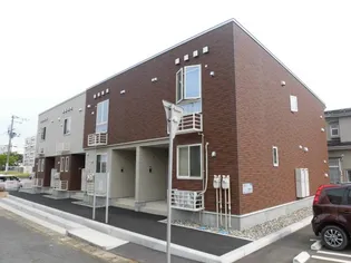 チュールー朱鷺の画像