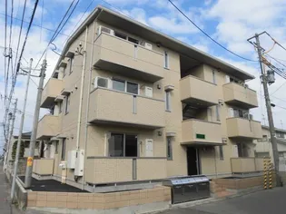 オリーブの画像