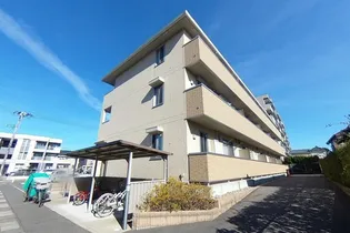 カノン上近江の画像