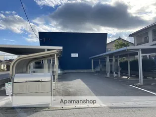 アマールの画像