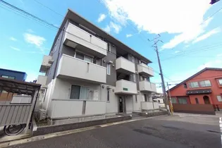 オリーブの画像