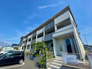 コートイーリスの画像