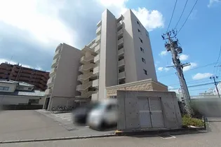 フェリシア鐙の画像