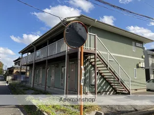 エバグリーン大形の画像