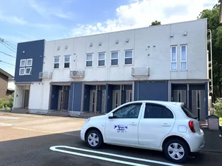 ビオレタの画像