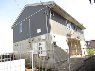 なでしこの画像