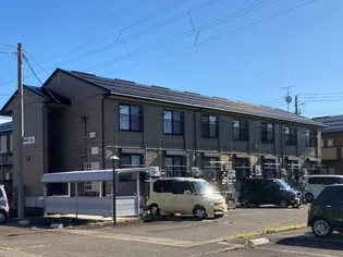 エヴァーグリーンの画像