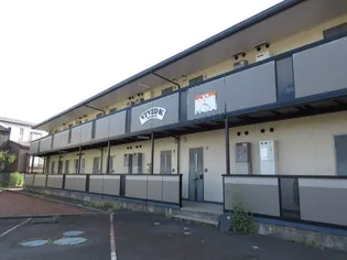 ビビッドKの画像