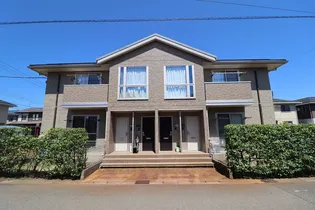 シンシア Bの画像