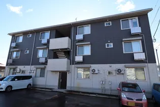 ヴィンヤードの画像