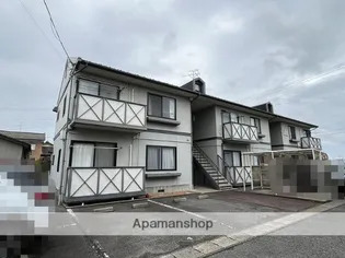 エバーグリーンの画像