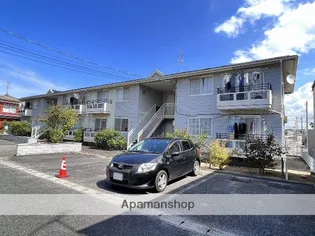 グレースアベニューの画像