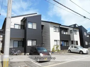 フェストⅦの画像