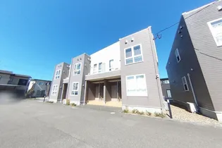 プラシードAの画像