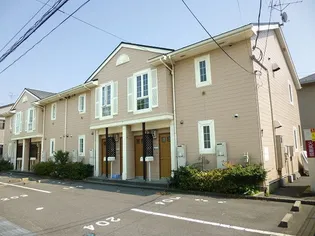 プラシードの画像