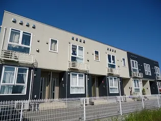 ラッフィナートの画像