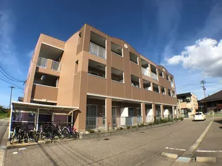 グリシーナAの画像