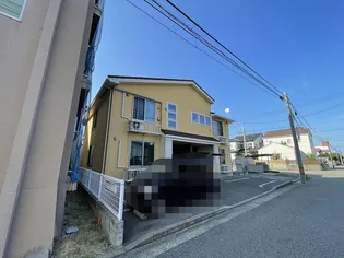信濃町コスモスの画像