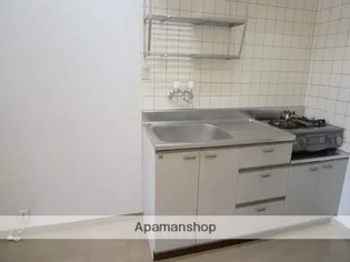 パティ・イーストB【317号室】のキッチン