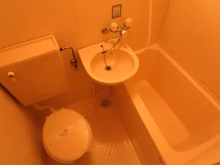 コーポ昴【203号室】の風呂