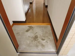 マニフィックL【201号室】の玄関