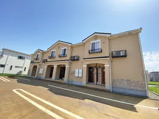 プラシード Βの画像