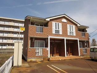 スマイル ティフォン Bの画像