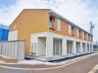 ルピナスの画像