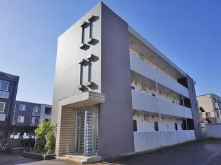 セリージャデトーアの画像