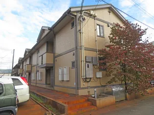 アムールの画像