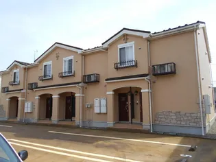 プラシード Βの画像