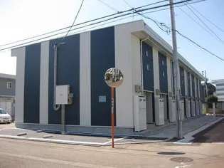 レオネクストグリーン3の画像