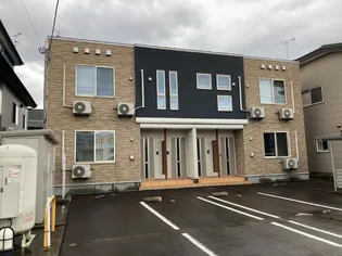 サウス ガーベラの画像