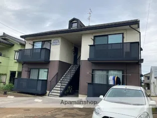 プリムローズの画像