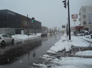 ロイヤルプレイス010【4階】の周辺