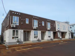 ヴィオラの画像