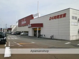 グレース碧【2階】の周辺