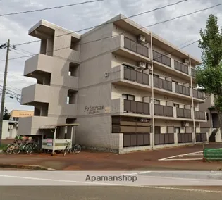 プリムローズの画像