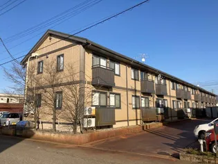 アムールの画像